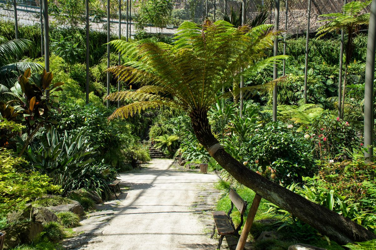 Парк Эдварда VII и Эстуфа Фриа 