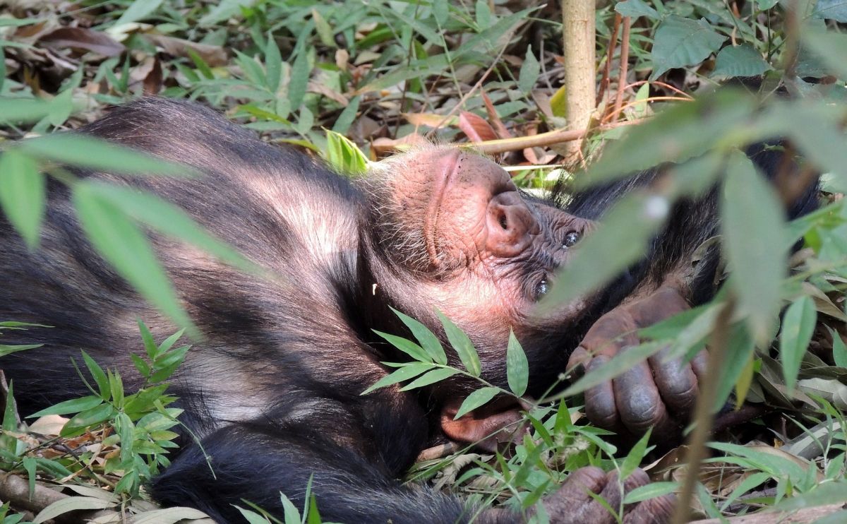 Национальный парк Катандеш