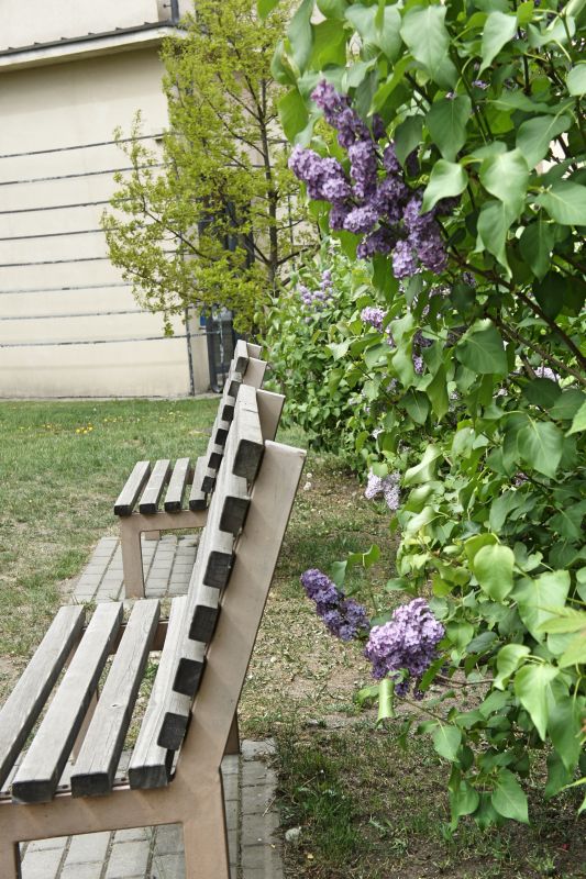 Сад Идей (Idėjų Sodas)