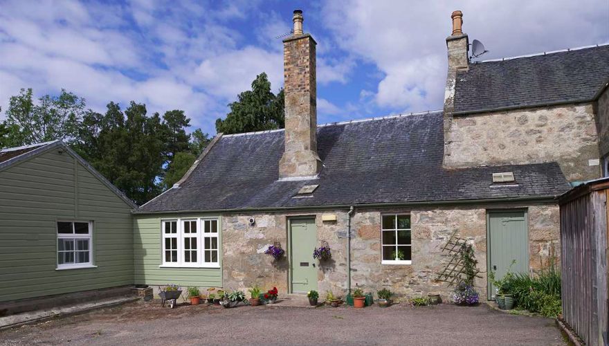 Студия искусств Green Tree