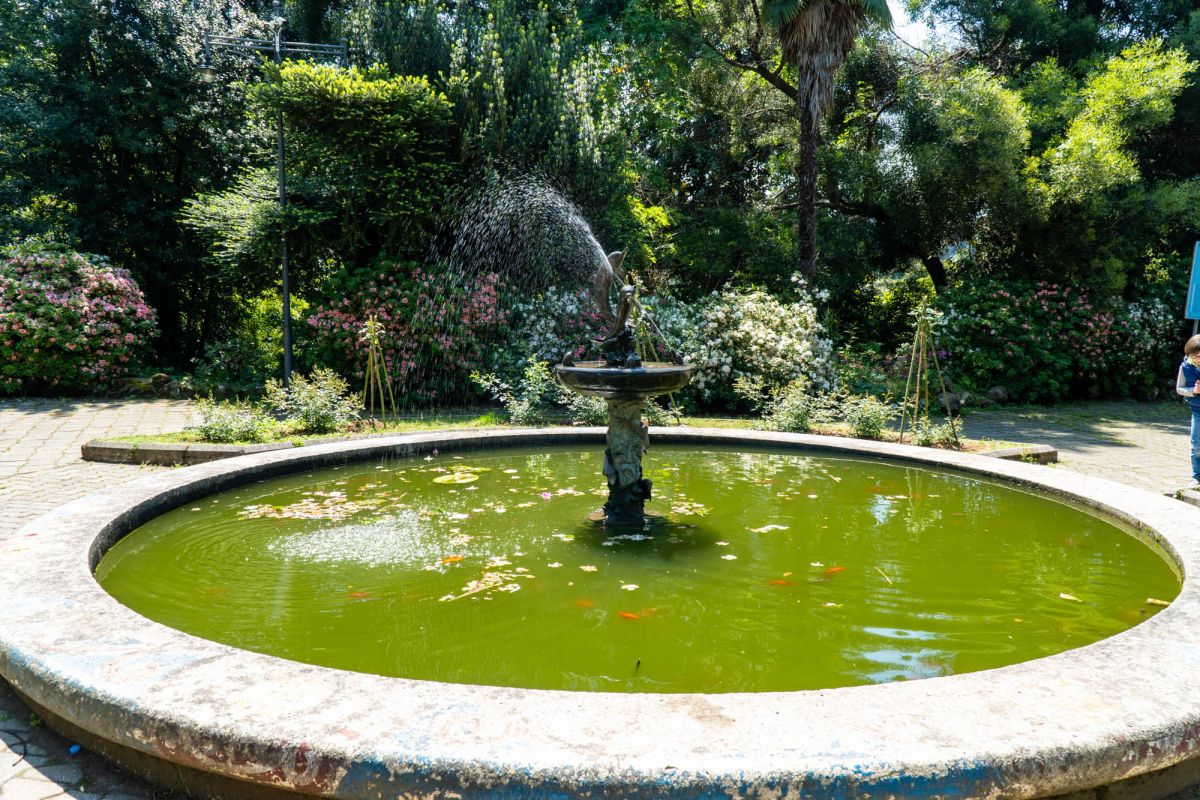 Батумский ботанический сад