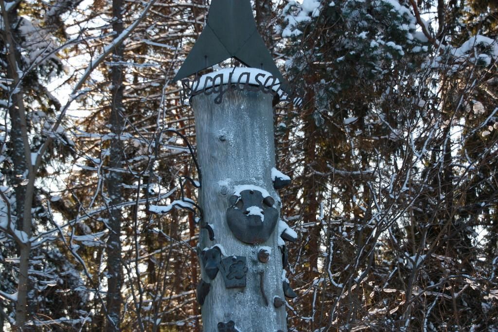 Энергетический столб в Отепяэ