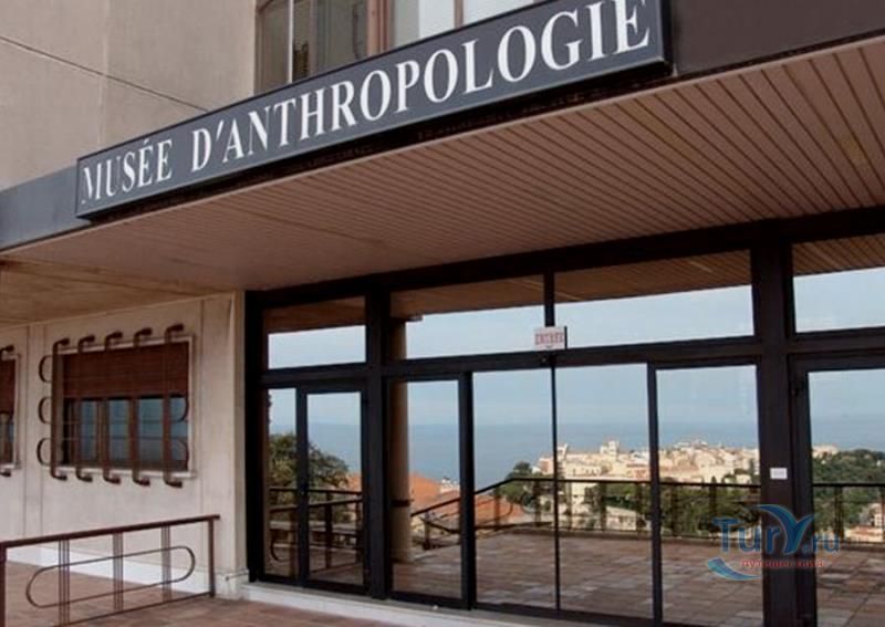 Музей доисторической антропологии