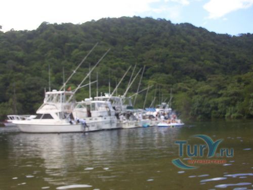 Скотланд Бэй (Scotland Bay)