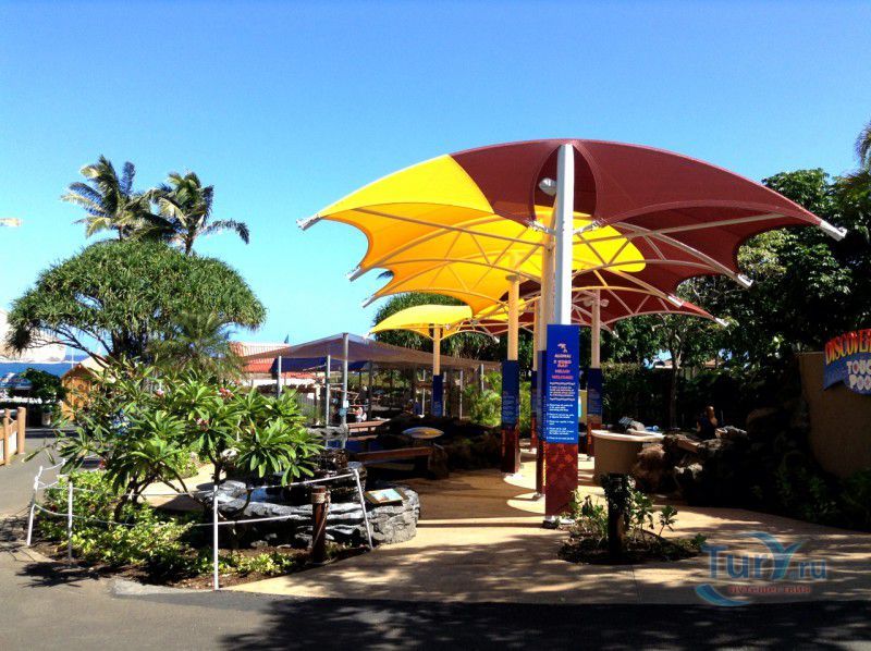 Парк Морской жизни Sea Life Park на о.Оаху