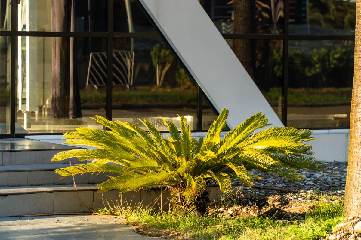 Restaurant Seventeen by Sanremo