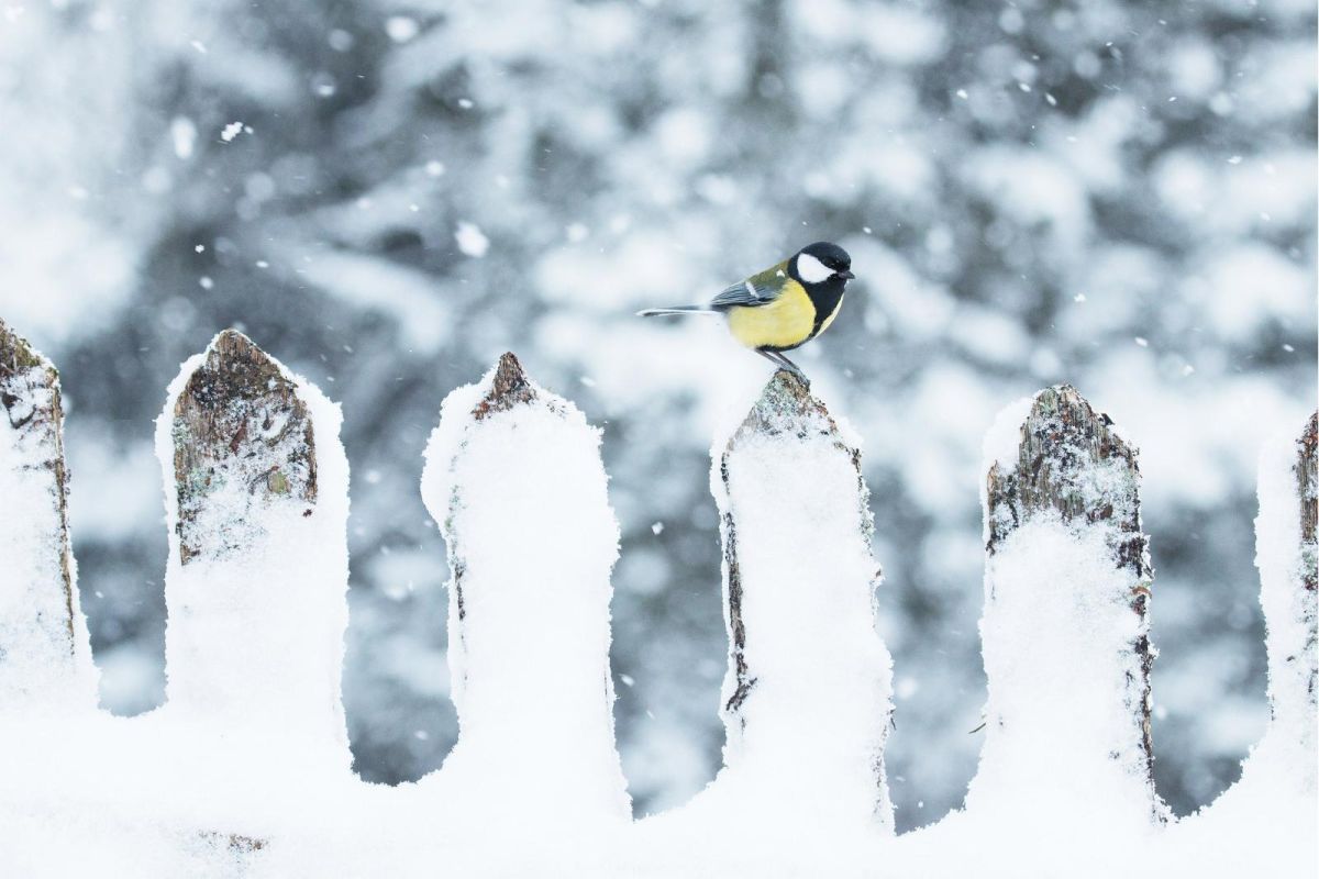 Раплаские речные променады