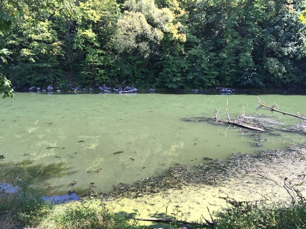 Река Тетерев