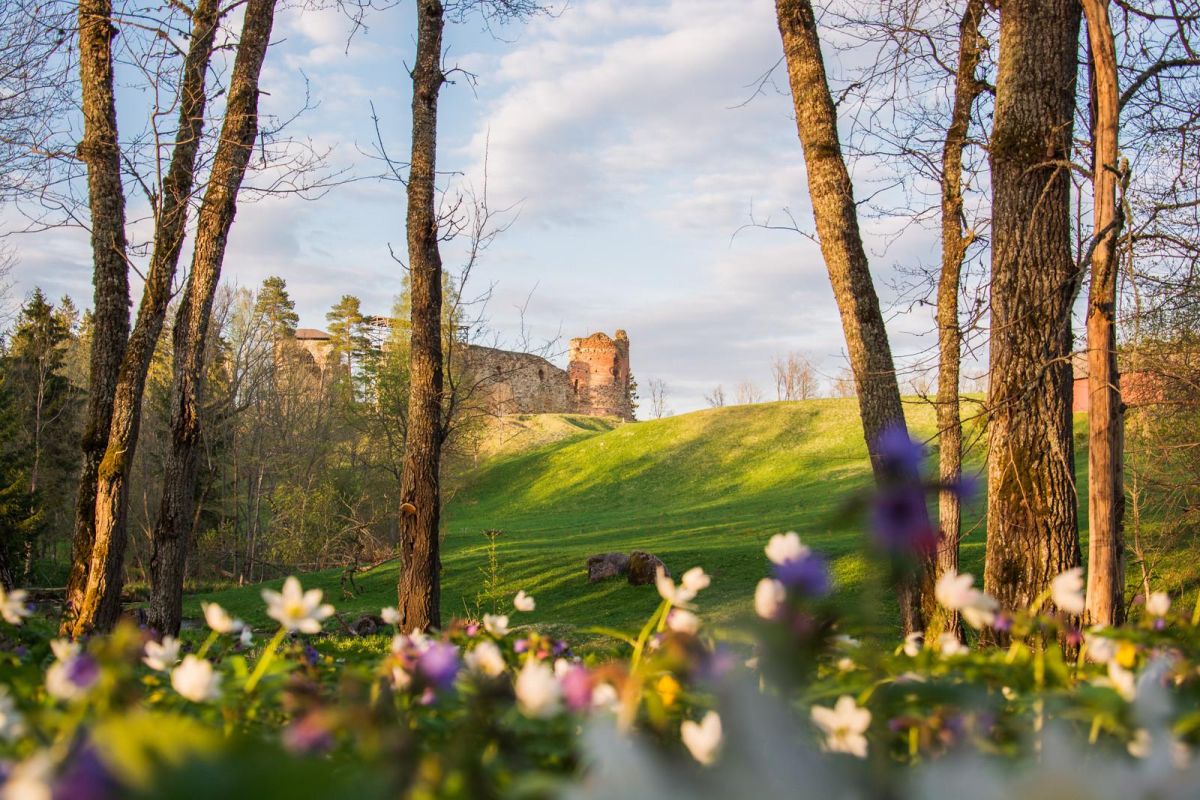 Развалины епископского замка Вастселийна