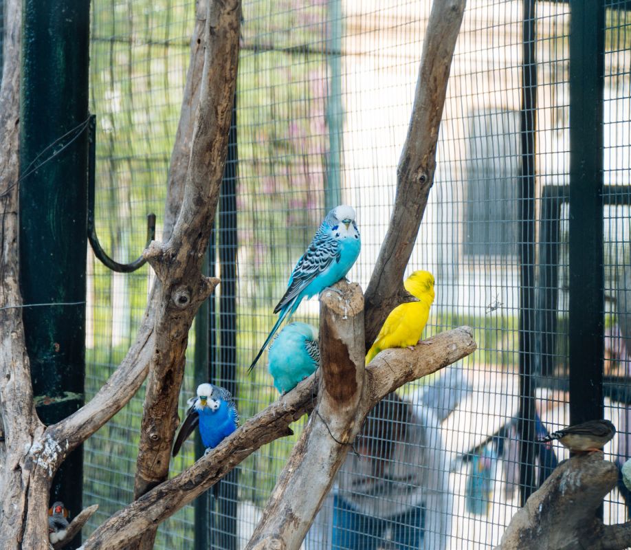 Сады дель Реал / Виверс