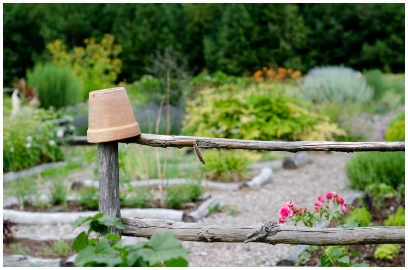 Сад душистых и целебных растений на хуторе Тамме