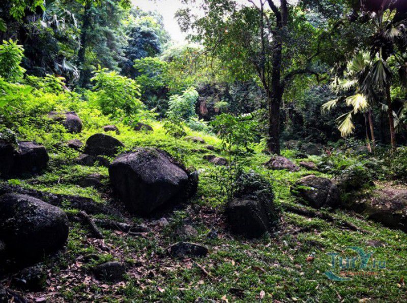 Национальный Ботанический Сад Сейшельских Островов