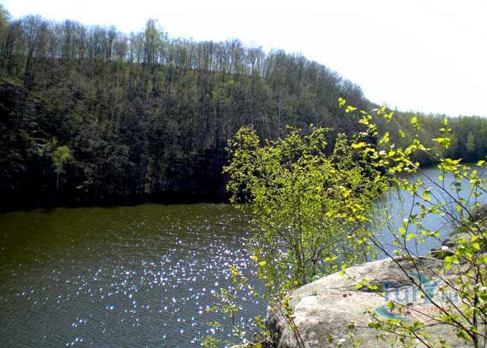 Голова Чацкого