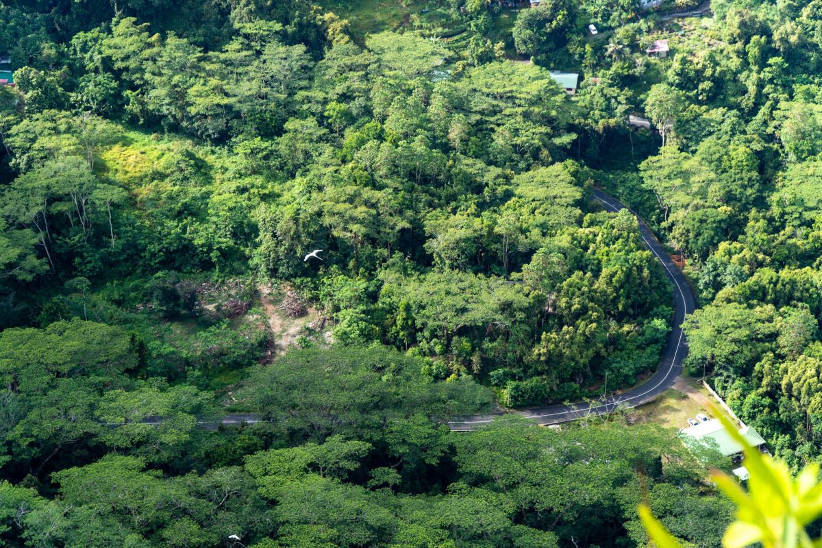 Смотровая площадка Морн Блан