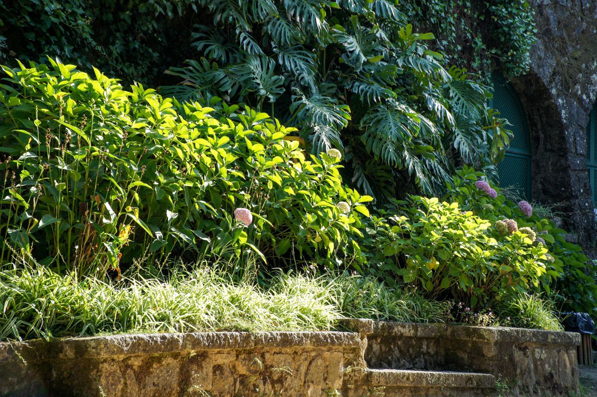 Парк Либердаде