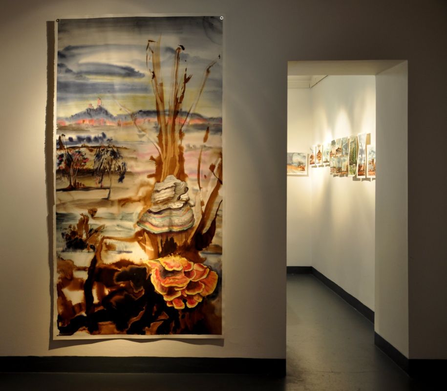 Галерея Vltavín