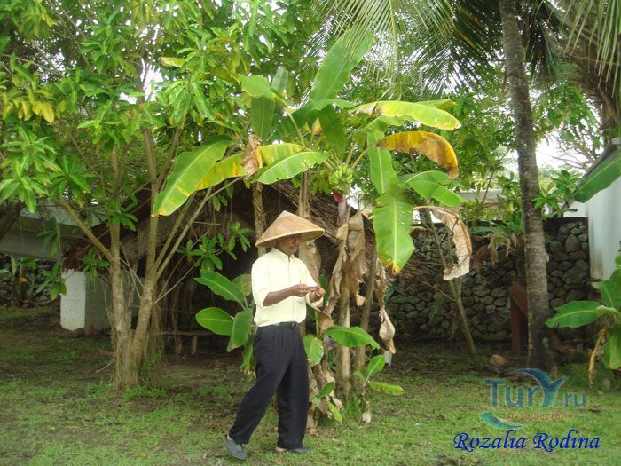 Музей риса Ламан Пади