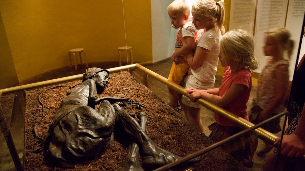 Музей Силькеборга, Ховедгорден