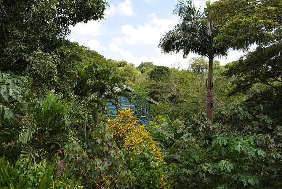 Ферма и Природный Заповедник Приключения  (Adventure Farm & Nature Reserve)