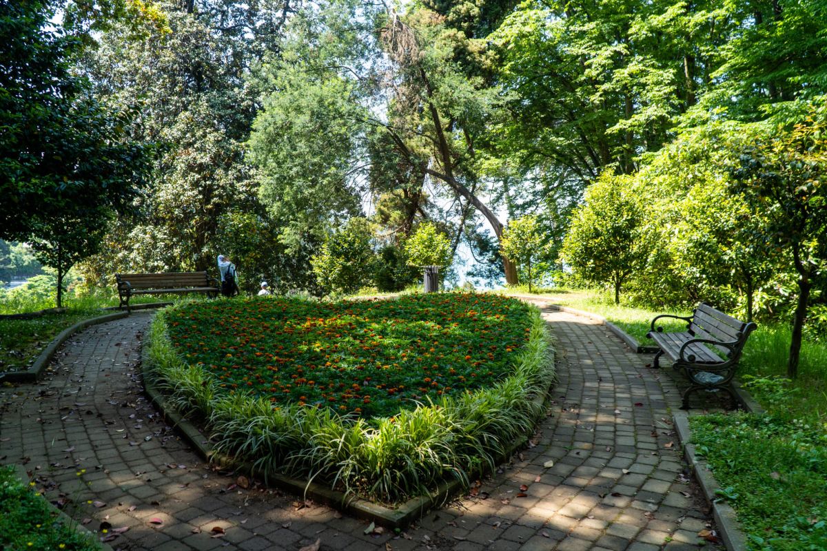 Батумский ботанический сад