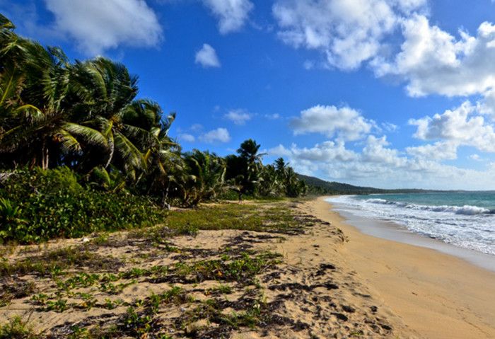 Пляж Плайа Гранде