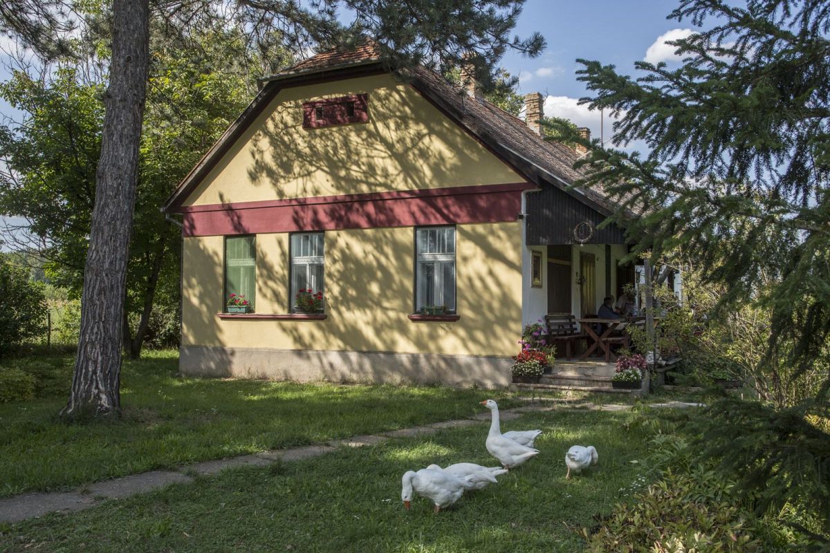 Район Бегеч