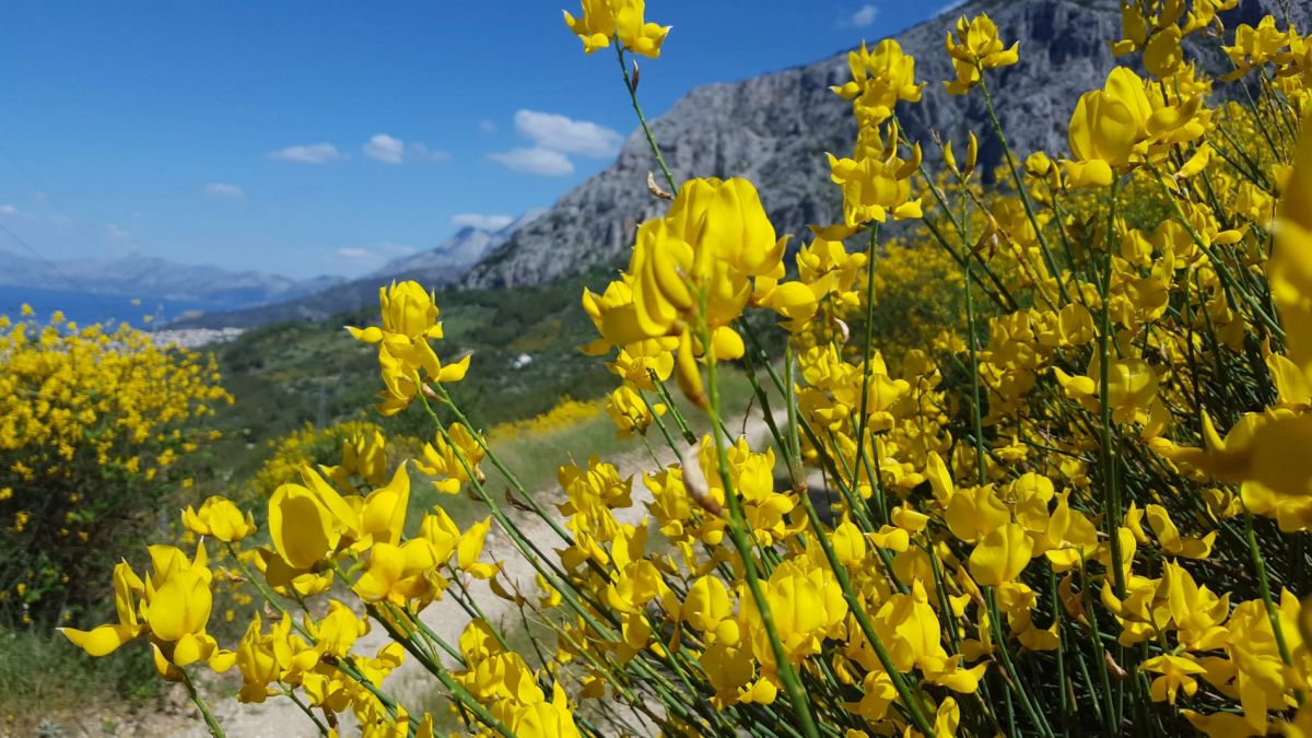 Природный парк Биоково