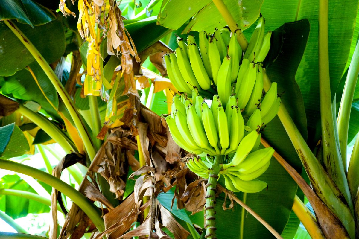 Пляж Сильверсендс