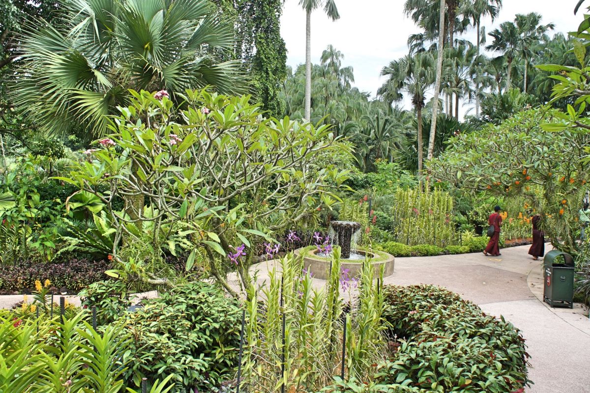 Сингапурский ботанический сад