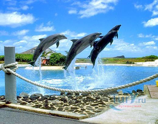 Парк Морской жизни Sea Life Park на о.Оаху