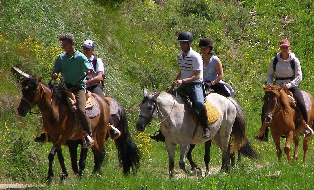 Катание на лошадях (ферма Horse Country)