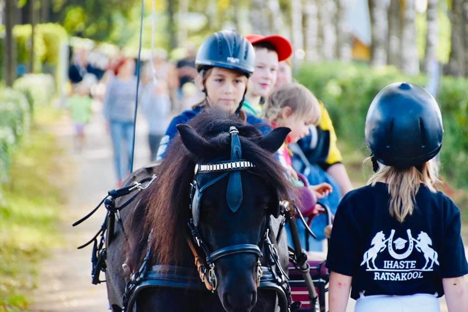 Центр конного спорта в Ихасте
