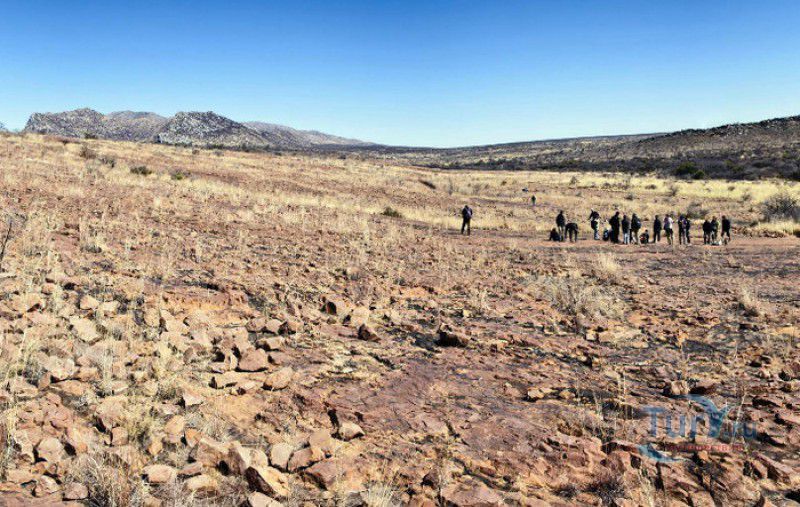 Следы Динозавров