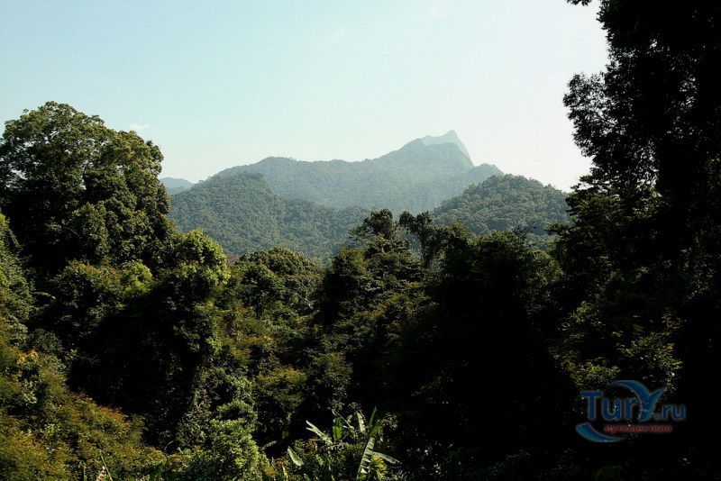 Национальный Парк Джунгли Цзяньфэнлинь