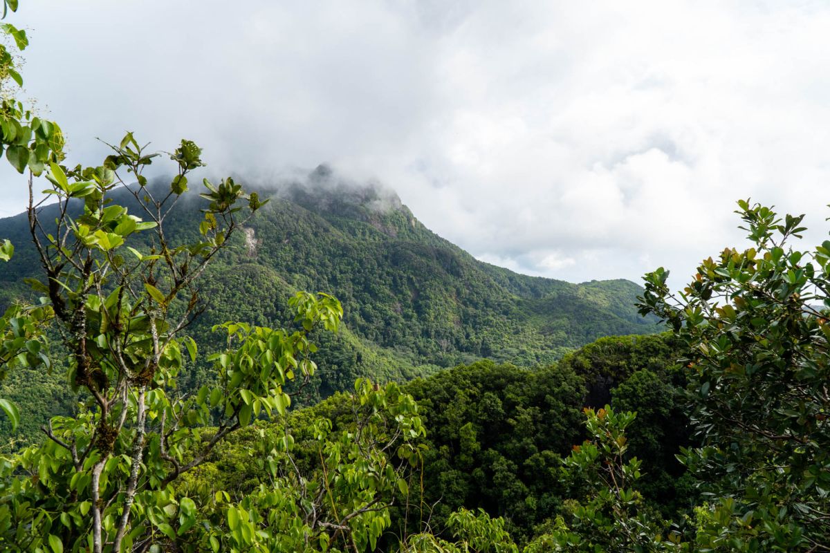 Национальный парк Морн Сейшелуа