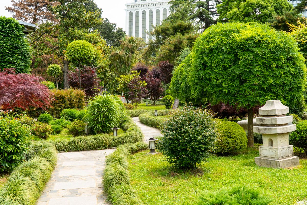 Японский сад в Батуми