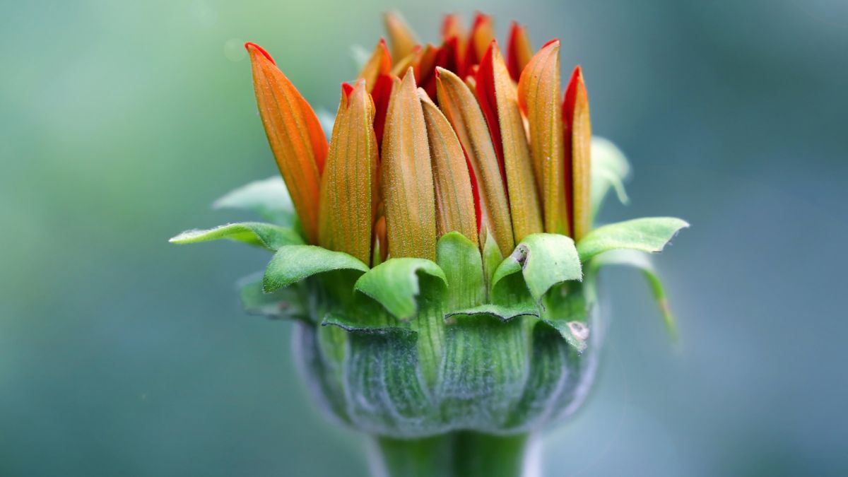 Парк Королевы Сирикит