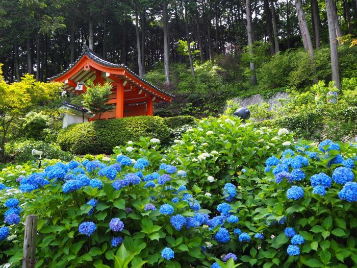 Храм Мимурото-дзи