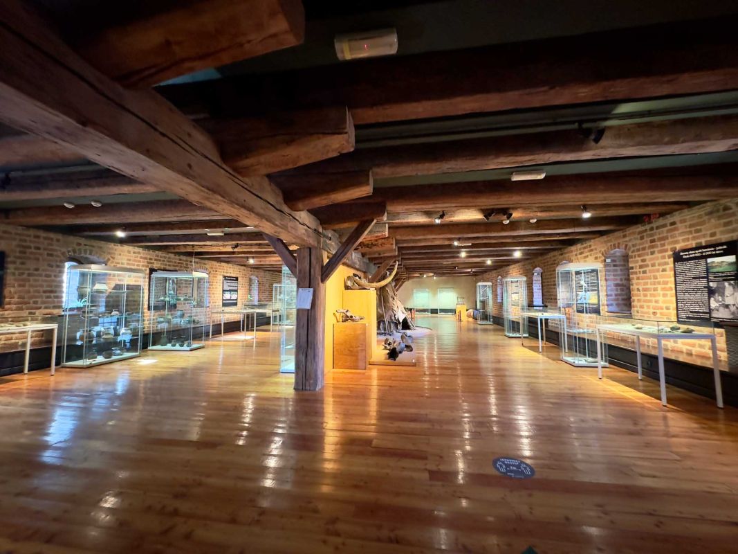 Вроцлавский археологический музей