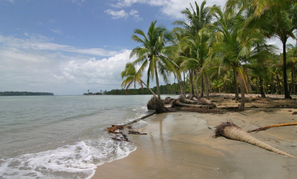 Бока-дель-Драго