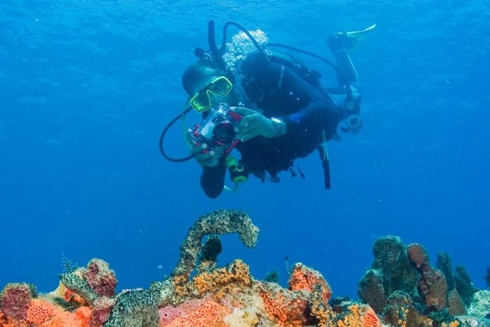 Ребро Кратера и Дуглас Поинт (Crater’s Edge and Douglas Point)