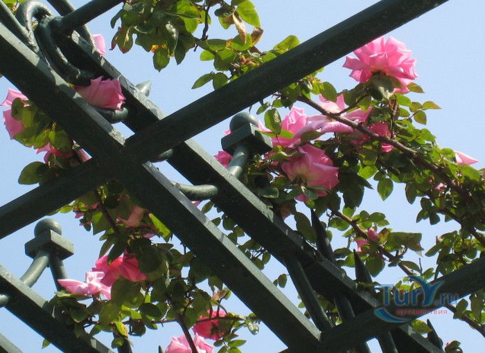 Пейзажный Парк Фонвьей и Розарий Принцессы Грейс