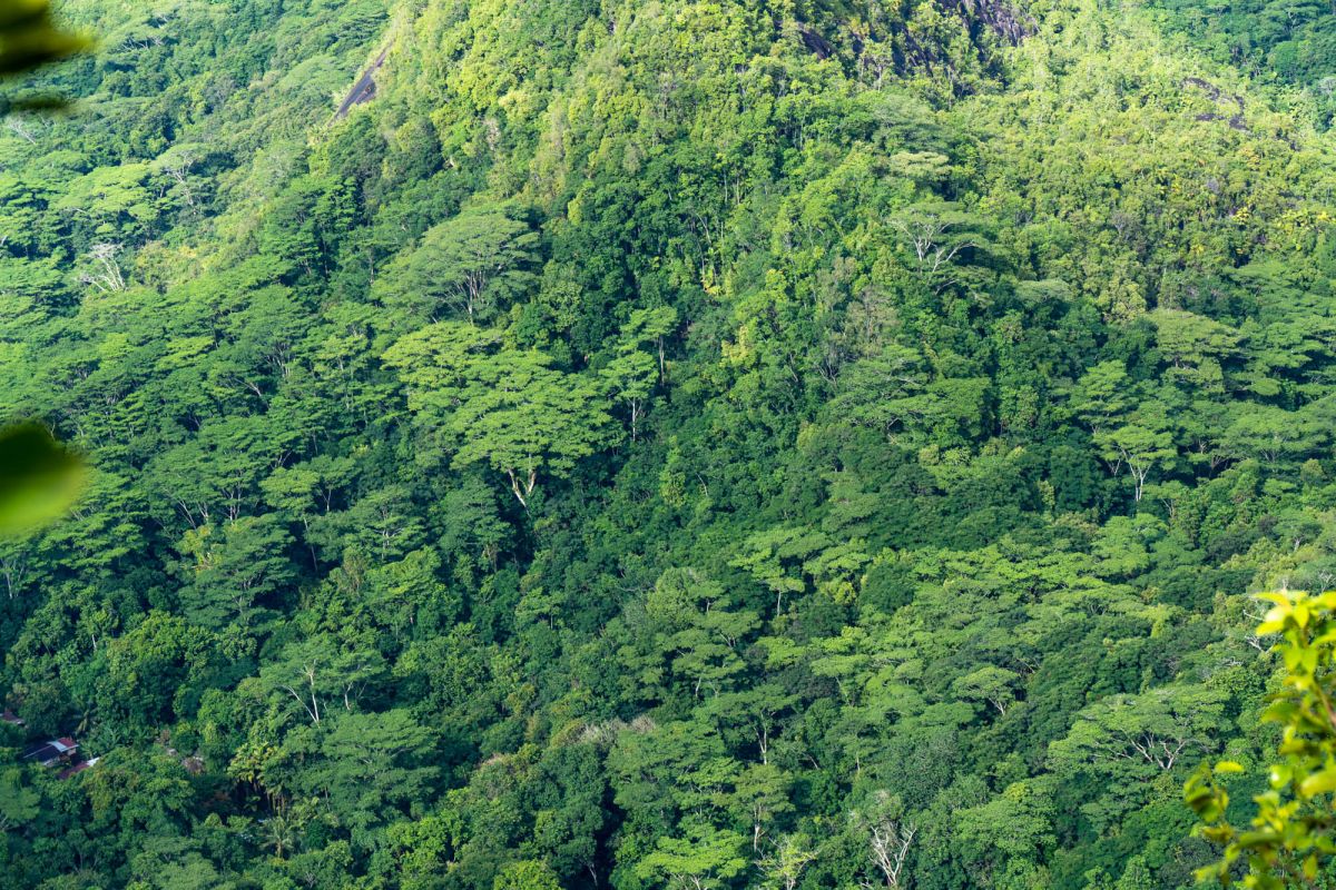 Национальный парк Морн Сейшелуа