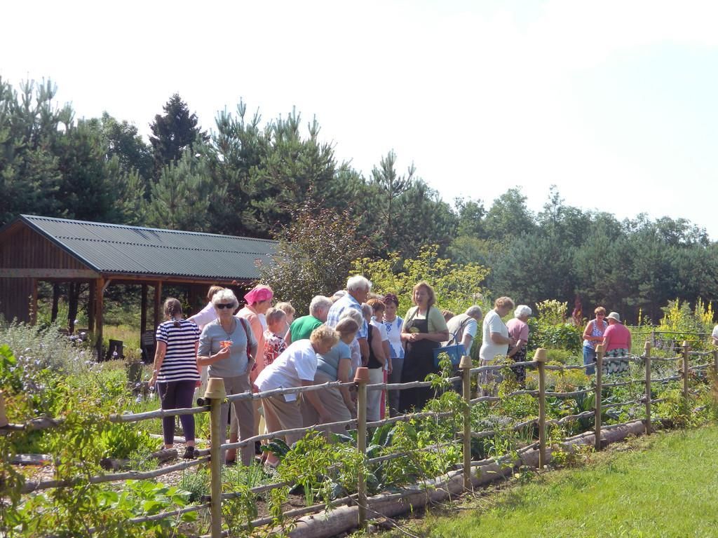Сад душистых и целебных растений на хуторе Тамме