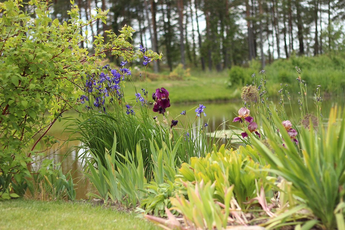 Выставочный и ландшафтный сад бюро по дизайну садов R&AR