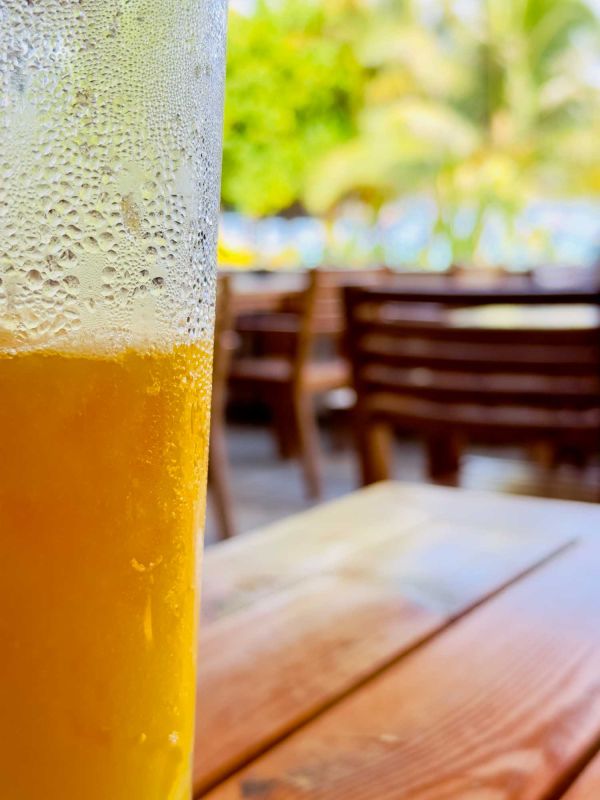 Triton Indian Restaurant