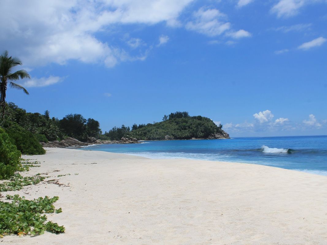 Анс Базарка