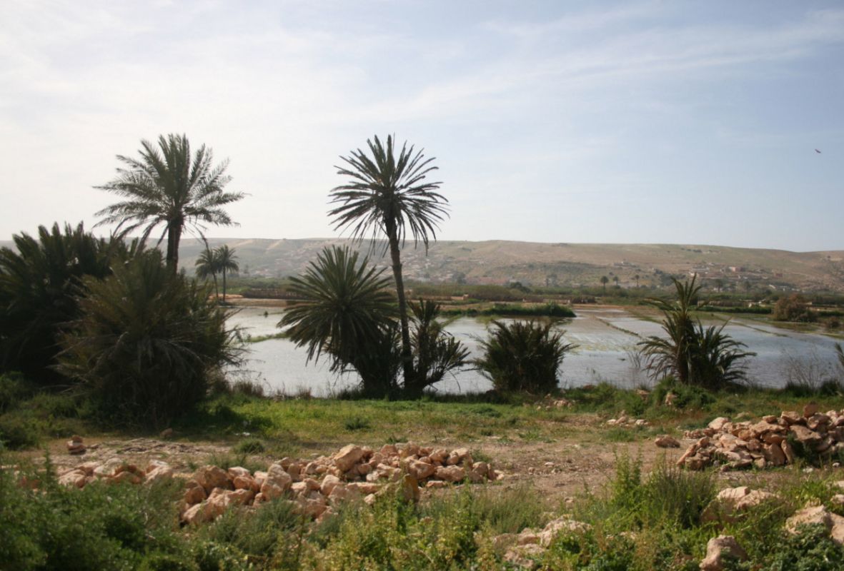 Национальный Парк Сус-Масса (Souss-Massa National Park)