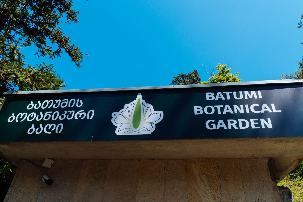 Батумский ботанический сад