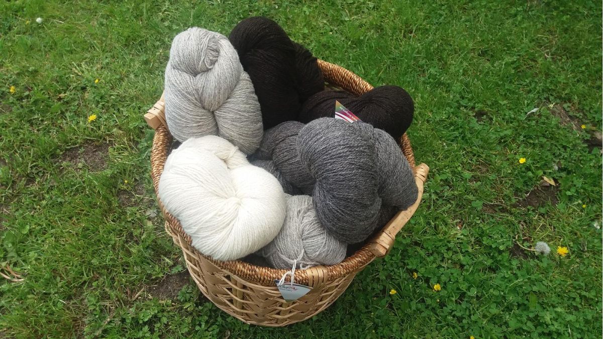 Сагадиская важня